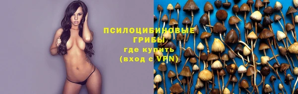 прущая мука Вязники
