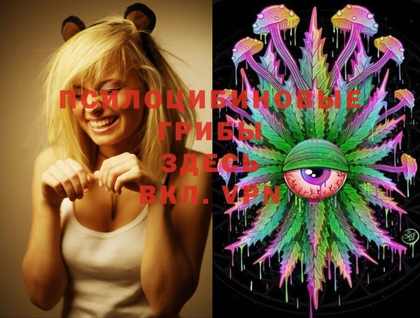 mdma Вяземский
