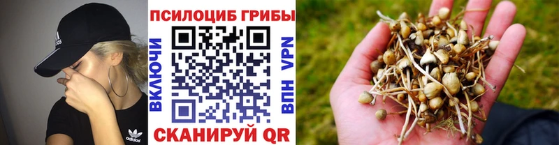 Галлюциногенные грибы прущие грибы  Ишимбай 